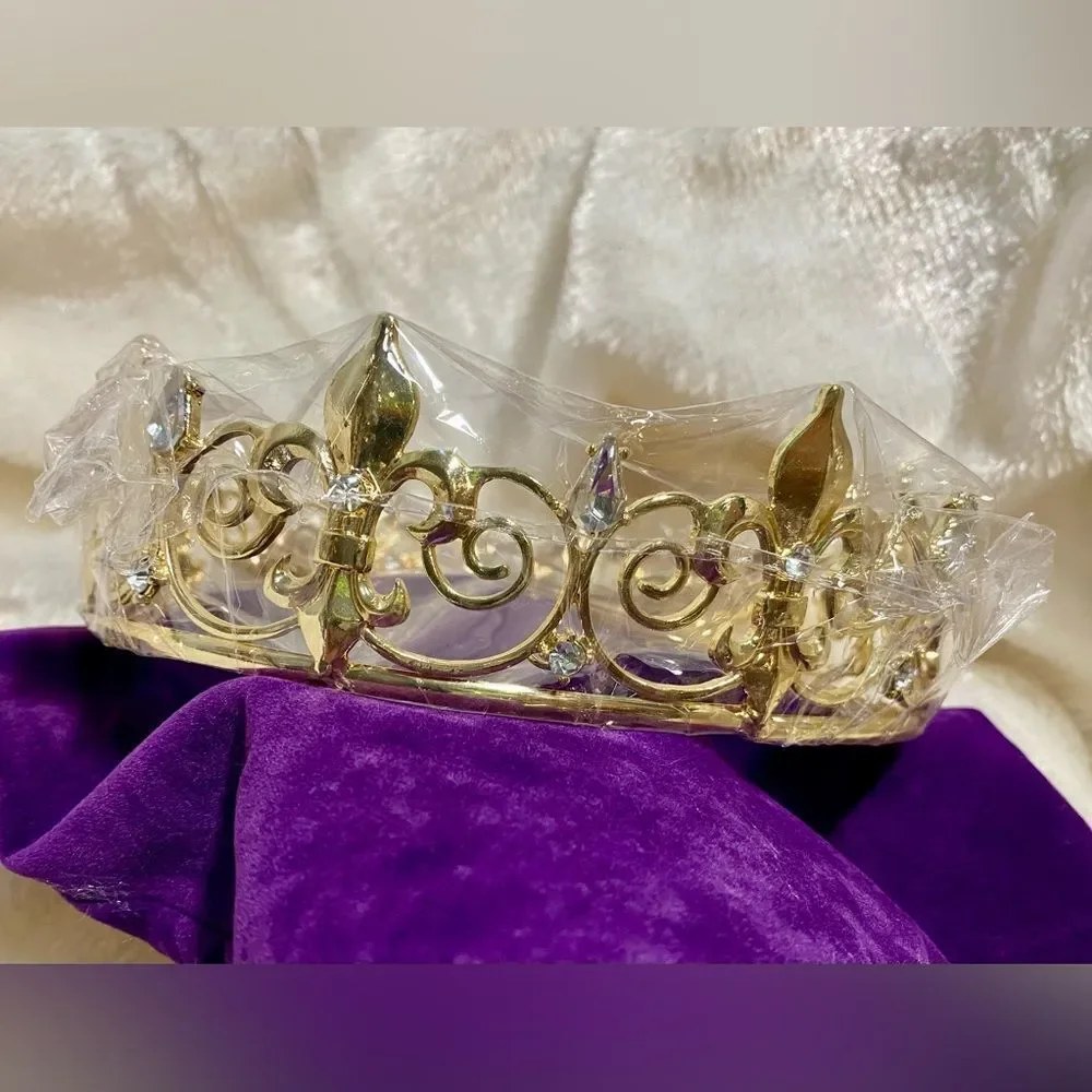 Gold tone crown with rhinestones, matching hair clips, and storage bag NWT